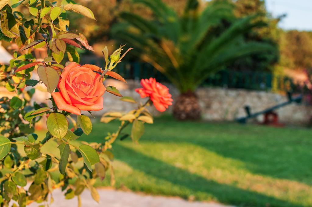 Villas Almyrida Almirida Chambre photo